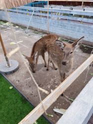 -小蜜蜂农场(凯德七宝购物广场店)