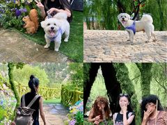 -沂蒙云瀑洞天景区