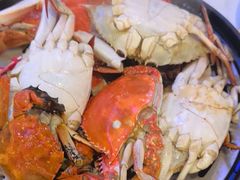 -半岛听涛蒸汽海鲜自助(K11店)