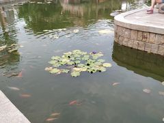 -晋江五店市传统文化旅游区