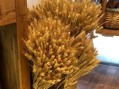 -那家面包房(珠江路店)