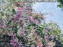 -深圳国际园林花卉博览园