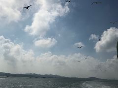 -长岛万鸟岛