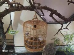 -小厨娘淮扬菜(诚信大道店)