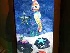 -沈阳海洋探索中心