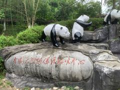-都江堰中华大熊猫苑