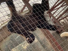 -南昌动物园