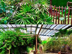 -呀路古热带植物园