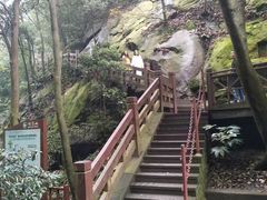 -缙云山景区