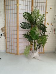 -童趣自然光儿童摄影工作室