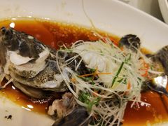 -骏莱海鲜鱼港(五角场店)