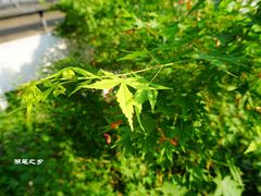 -中国湖笔博物馆(莲花庄路)