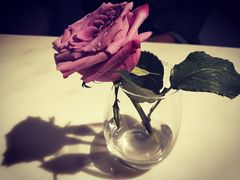 -伊斯坦布尔土耳其清真咖啡餐厅