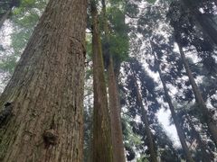 -青城山