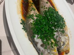 -三利音·玖弄小鲜(浦东嘉里城店)