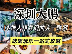-杨梅坑