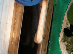 android_upload_pic-上海大自然野生昆虫馆