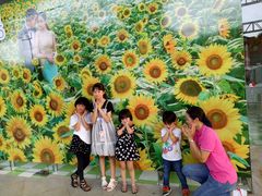 -广州花之恋城堡酒店