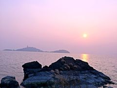 -上海市保健医疗中心(华东疗养院)