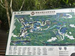 -野象谷景区