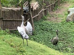 -泉州海丝野生动物世界