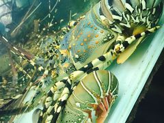 -班赞海鲜市场