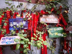 -花木兰·咖啡·茶铺