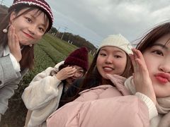 -雪绿茶博物馆