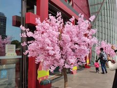 -万达广场(松江店)