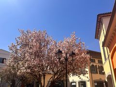 -京津佛罗伦萨小镇