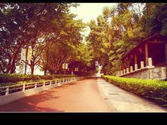 景点-厦门博饼民俗园