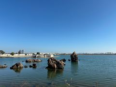 -莆田湄洲妈祖祖庙