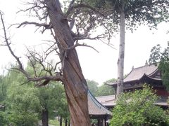 -晋祠公园