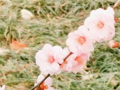 -解放人民公园