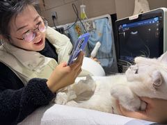 -派特宠物医院(圆融广场店)