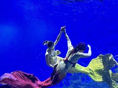 -海合安武汉极地海洋公园