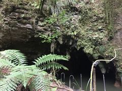 -怀托摩萤火虫洞