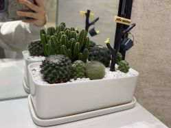 -和良形象