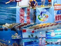 -多彩贵州城极地海洋世界