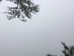 -洛阳白云山景区