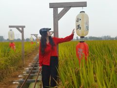 -嘉北郊野公园