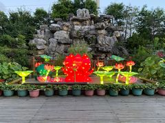 -上海海湾国家森林公园