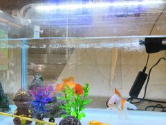 -永信齿科·永恩口腔门诊部(浦东新区店)