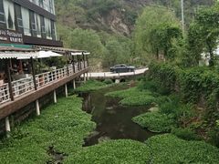 -Local泰莲庭(虹鳟鱼店)