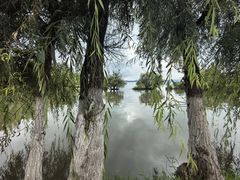 -捞渔河湿地公园