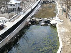 -白水寺森林公园