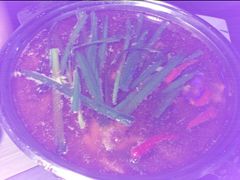 iphone_upload_pic-大碗先生家常湘菜(解放街店)