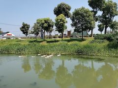 -乡乐园蟹庄·阳澄湖农家乐