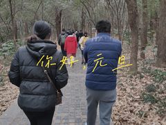 -紫金山山顶公园