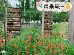 -前小桔亲子创意农场·草莓采摘·露营烧烤